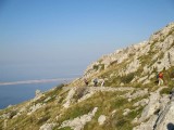 19. Ali, ne zadugo